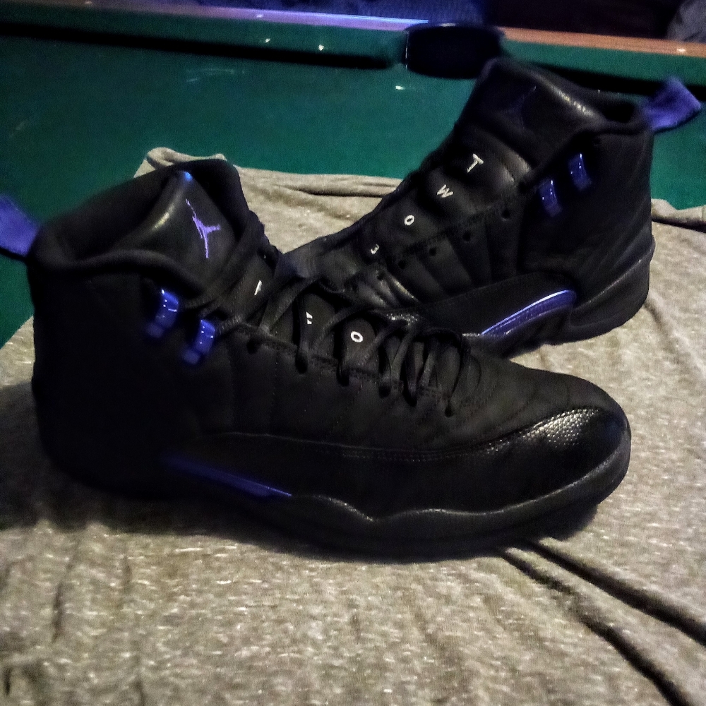 Jordan Dark Concord 12s